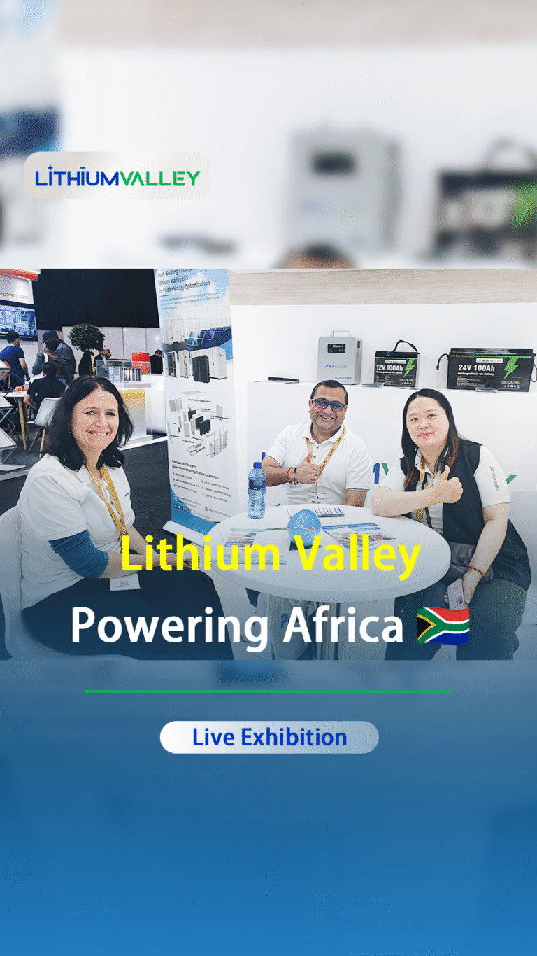Lithium Valley: Powering Every Scenario. 🇿🇦